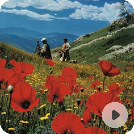 Four hundred fifty revised